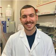 Si impartiscono lezioni di Chimica per liceali e studenti universitari